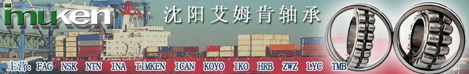沈阳艾姆肯轴承贸易有限公司