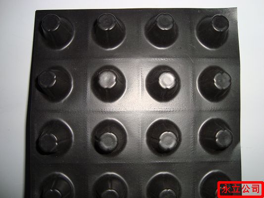 聚乙烯（HDPE）排水板--厂家直销-欢迎来电咨询