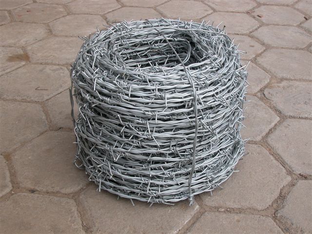 铁蒺藜网，带刺铁丝网，防盗刺网，带刺围墙网，监狱刺
