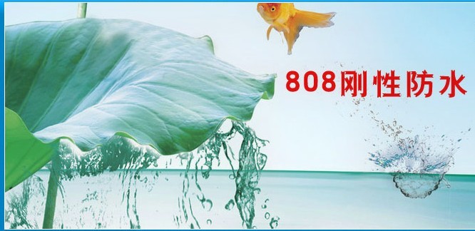 808刚性防水剂