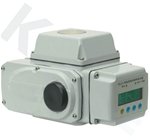 调节型带液晶显示电动