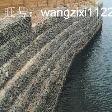 双拧六角网