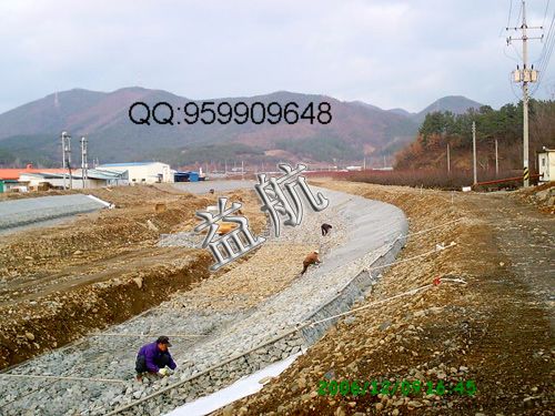 河道护坡网