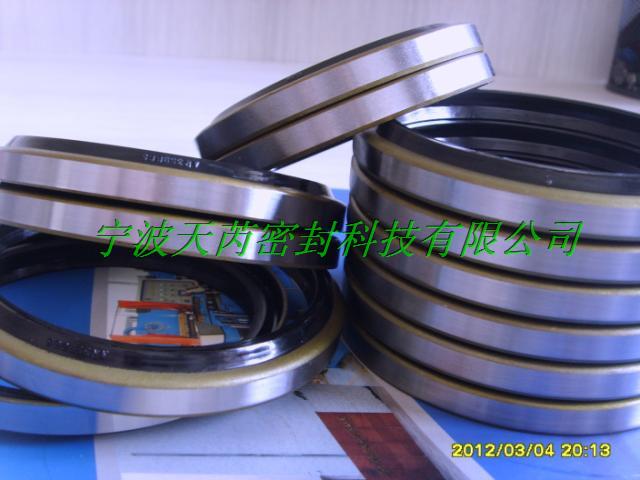 供应DKB防尘密封件|宁波天芮