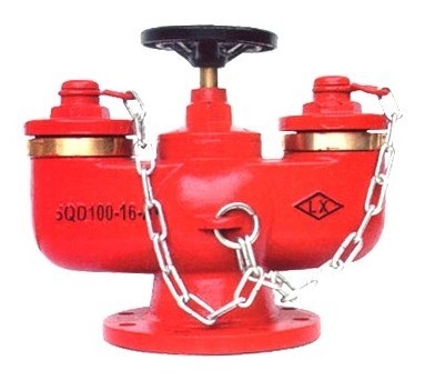 多用式地下消防水泵接合器SQD-上海消防阀门厂