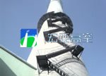 供应安装烟囱Z字形梯,之字形梯