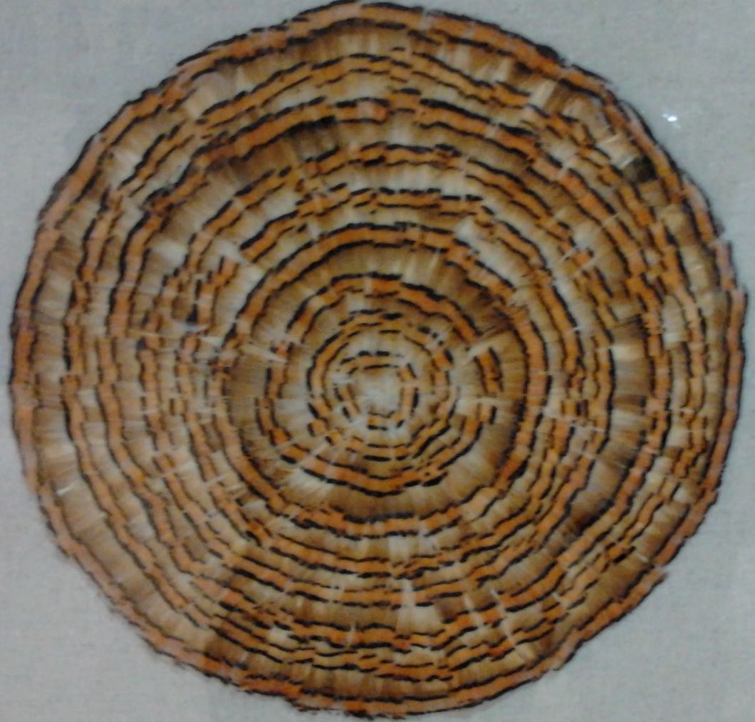 精美壁画——太阳