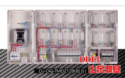 生产透明12表位电表箱TMDZ12B组合