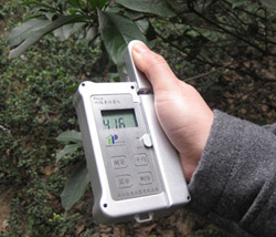 叶绿素检测仪分析植物叶绿素的形态以及变化