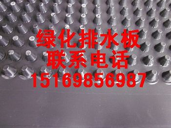 石家庄蓄排水板=+=石家庄防排水板