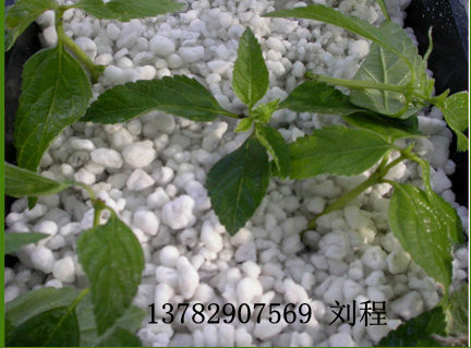园艺膨胀珍珠岩