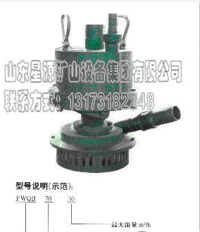 高质量 高效益 高性能排水好帮手 污水泵