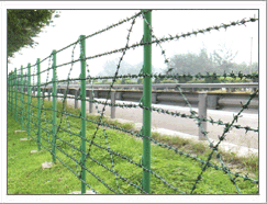 大连铁蒺藜，高速铁路草原两侧围栏网