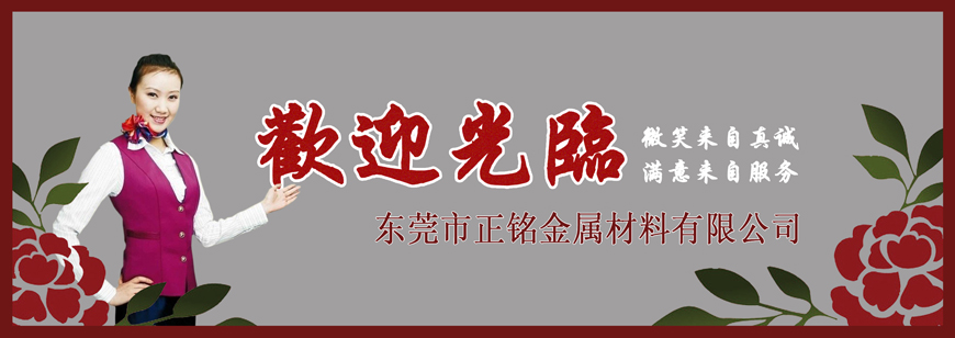 东莞市正铭金属材料有限公司