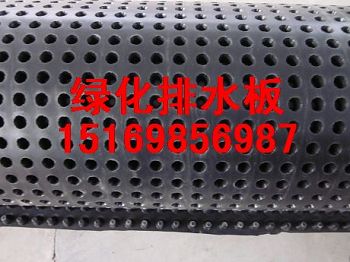 车库绿化蓄排水板直销\塑料隔根层膜厂家直销