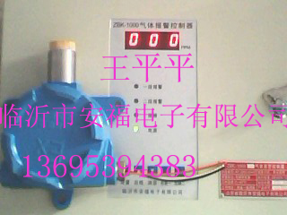 山东（临沂）安福电子有限公司