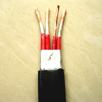 扁型电缆/扁形电缆/扁平电缆/扁电缆