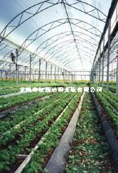 佳斯达生产沈阳温室大棚专用保温阳光板