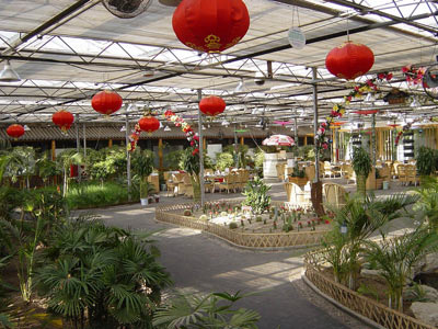 生态餐厅温室骨架