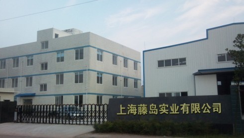 上海藤岛发电机有限公司