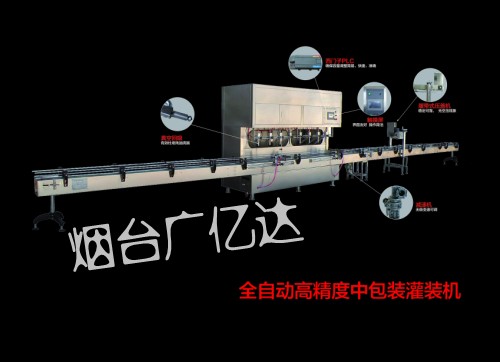 食用油灌装机|六头油类灌装机