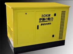 伊藤30千瓦燃气发电机-YT30REP