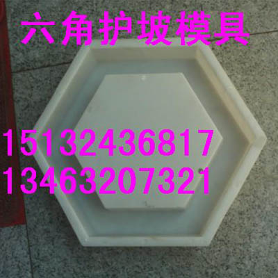 供应品质卓越六角护坡模具