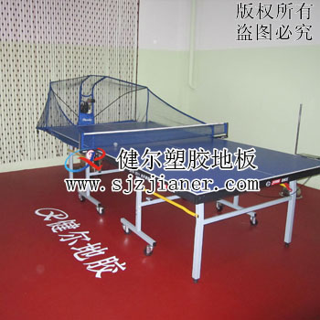 供应青海果洛乒乓球塑胶地板产品