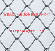 安徽塑料钢丝网