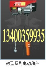 微型电动葫芦 500W 220V6米/12米单钩家