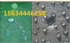 批发沈阳荷叶疏水剂 水性荷叶疏水剂 表面疏水剂