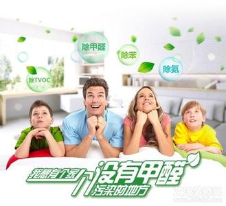 新浪网举办的硅藻泥行业峰会正式召开