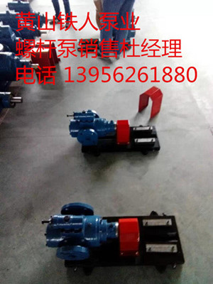 螺杆泵SNH440R46U12.1W23
