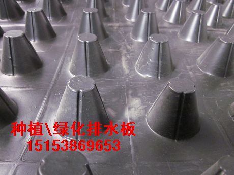 淮安（聚乙烯排水板）盐城（hdpe排水板）