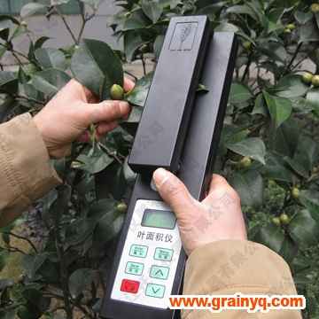 手持叶面积仪4连通区域标识图像测量方法