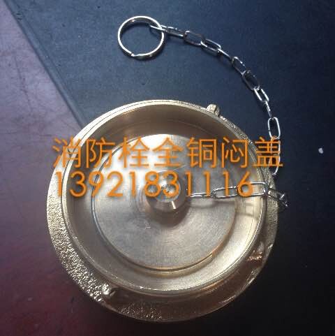 中岛式消防栓闷盖 德式消火栓接头