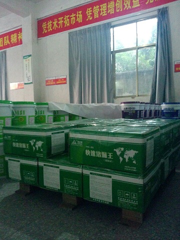 广东爱迪斯精装快速堵漏王（堵固灵）
