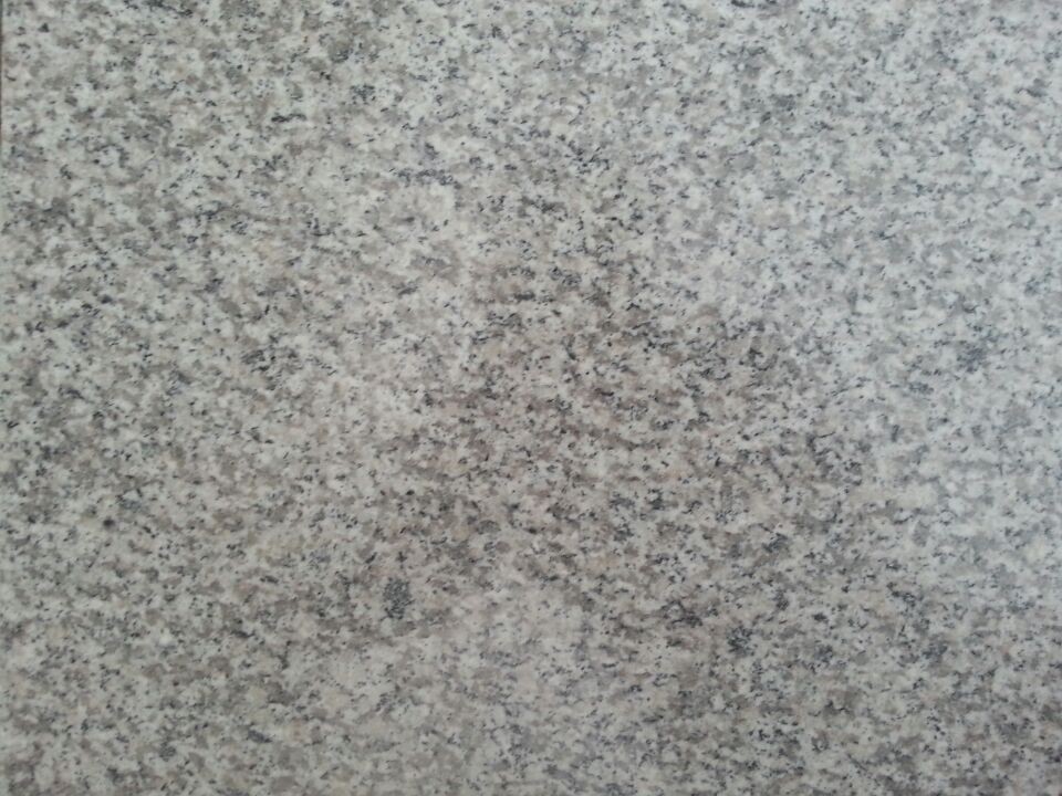 供应福建芝麻白G623