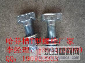 玻璃幕墙T型螺栓M16*60|玻璃幕墙T型螺栓厂