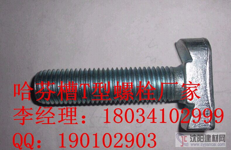 哈芬槽螺栓，螺母，玻璃幕墙专用T型螺栓