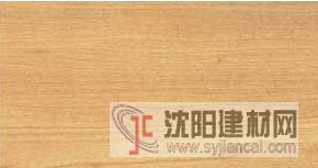 供应美国红榆