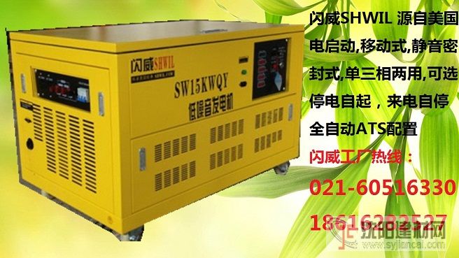 15KW汽油发电机