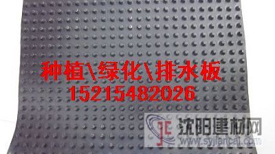 排水板）凸点排水板）排水板价格