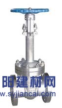 DZ40Y低温闸阀