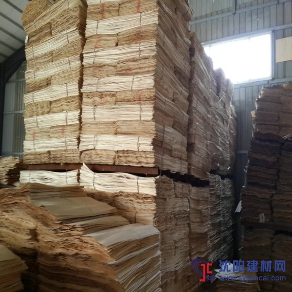 山东杨木面皮，木皮，杨木单板，杨木皮
