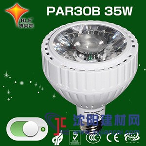 PAR30LED射灯B