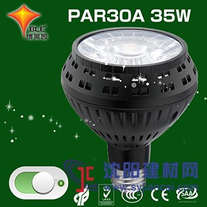 PAR30LED射灯A