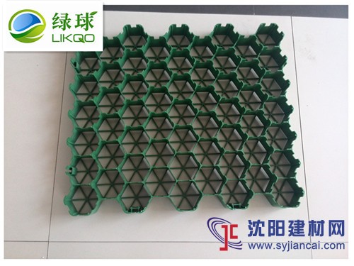 秦皇岛聚丙烯植草格-绿球塑业