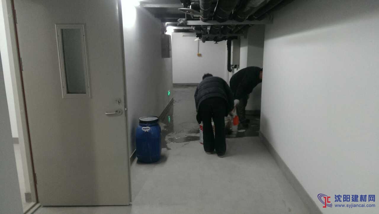 水泥地面碳化处理剂