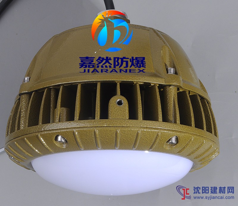 led防爆壁灯30w,20wled防爆吸顶灯